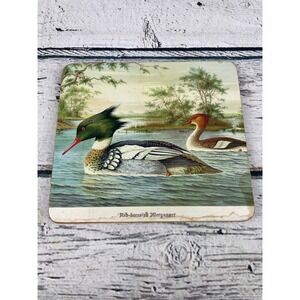 Vintage Red-Breasted Merganser‎ Bird Coaster Drink Coaster Wildlife Art Flawed
